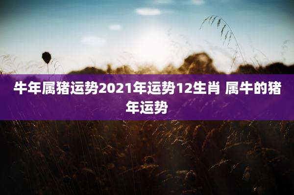 牛年属猪运势2021年运势12生肖 属牛的猪年运势