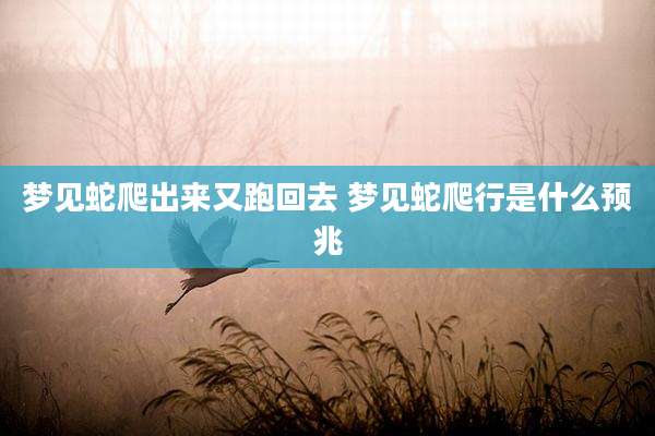 梦见蛇爬出来又跑回去 梦见蛇爬行是什么预兆