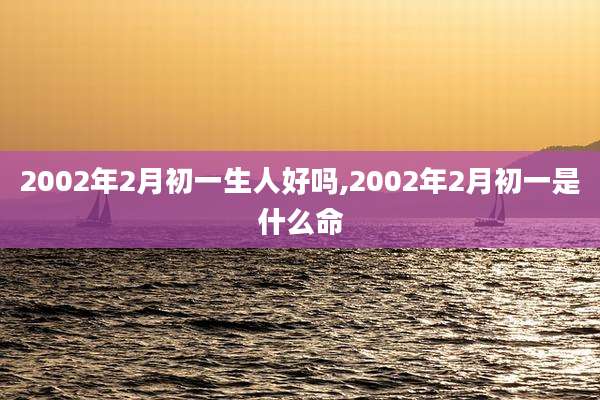 2002年2月初一生人好吗,2002年2月初一是什么命