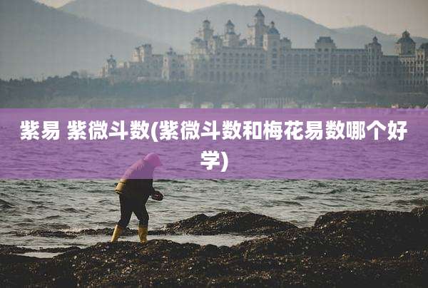 紫易 紫微斗数(紫微斗数和梅花易数哪个好学)