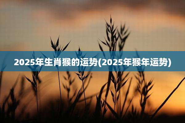 2025年生肖猴的运势(2025年猴年运势)