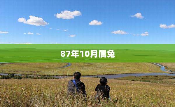87年10月属兔