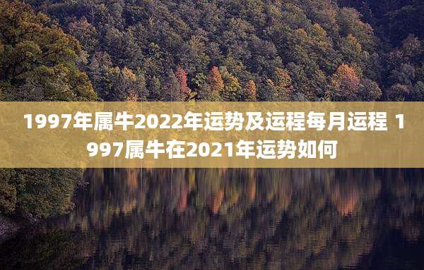 1997年属牛2022年运势及运程每月运程 1997属牛在2021年运势如何