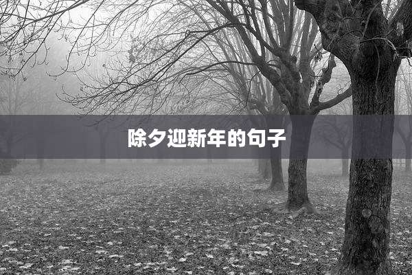 除夕迎新年的句子