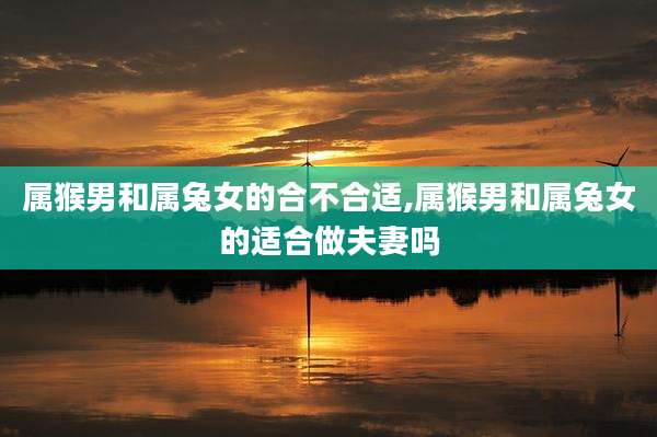 属猴男和属兔女的合不合适,属猴男和属兔女的适合做夫妻吗