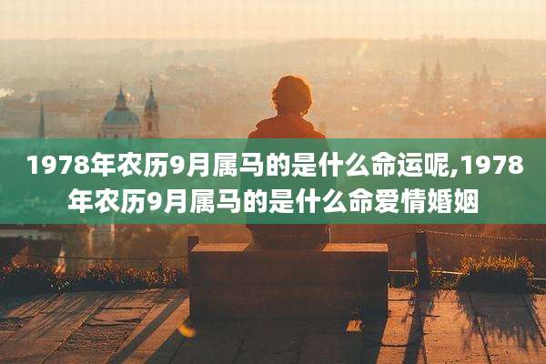 1978年农历9月属马的是什么命运呢,1978年农历9月属马的是什么命爱情婚姻