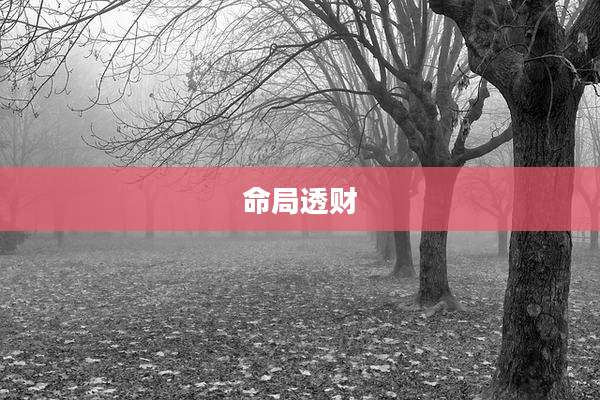 命局透财