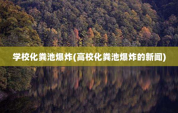 学校化粪池爆炸(高校化粪池爆炸的新闻)