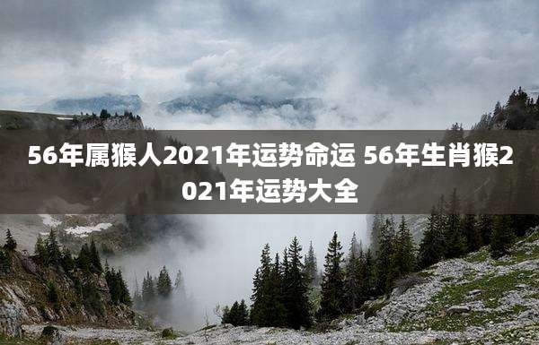 56年属猴人2021年运势命运 56年生肖猴2021年运势大全