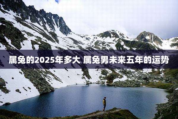 属兔的2025年多大 属兔男未来五年的运势