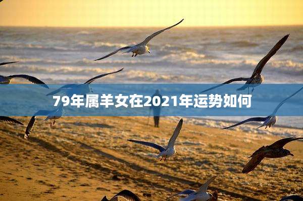 79年属羊女在2021年运势如何