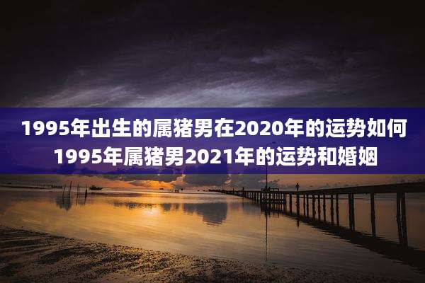 1995年出生的属猪男在2020年的运势如何 1995年属猪男2021年的运势和婚姻
