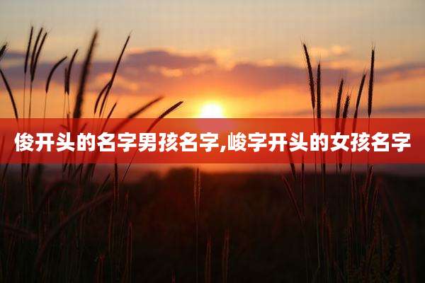 俊开头的名字男孩名字,峻字开头的女孩名字