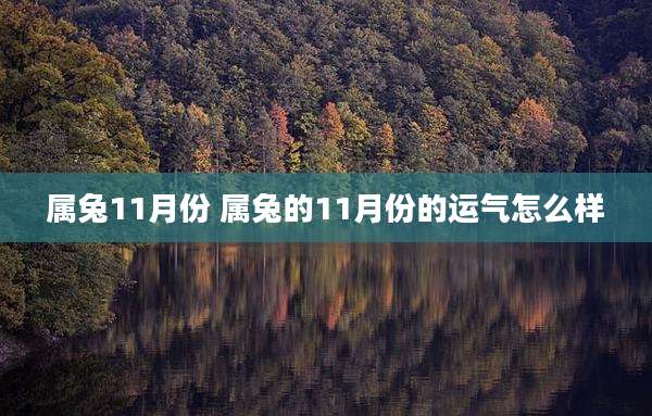 属兔11月份 属兔的11月份的运气怎么样