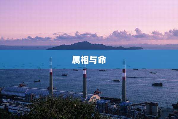 属相与命