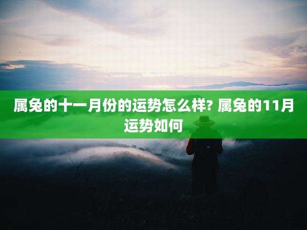 属兔的十一月份的运势怎么样? 属兔的11月运势如何