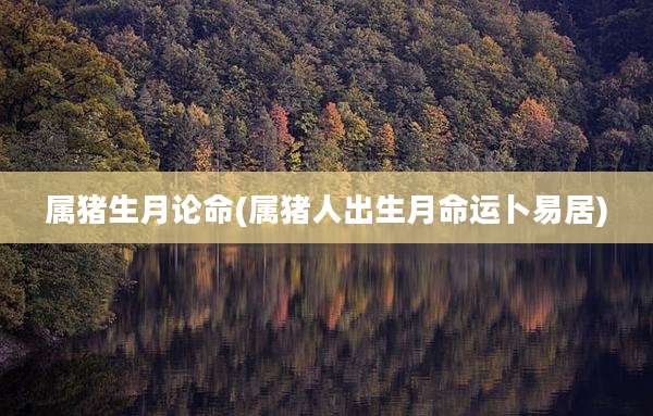 属猪生月论命(属猪人出生月命运卜易居)