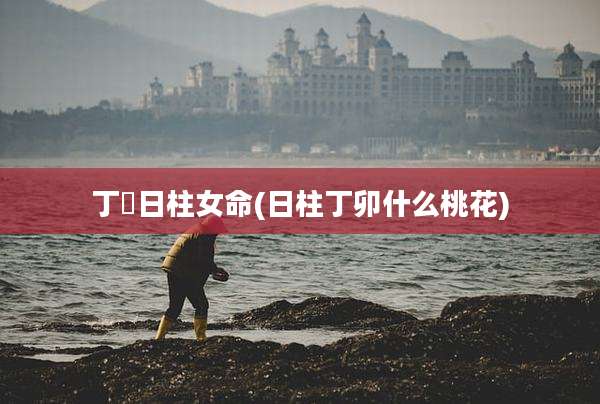 丁卬日柱女命(日柱丁卯什么桃花)