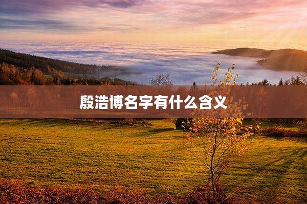 殷浩博名字有什么含义