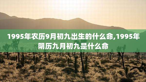 1995年农历9月初九出生的什么命,1995年阴历九月初九是什么命