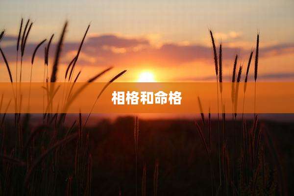 相格和命格