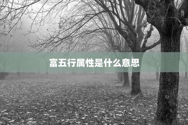 富五行属性是什么意思