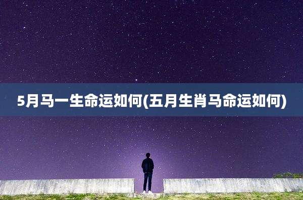 5月马一生命运如何(五月生肖马命运如何)