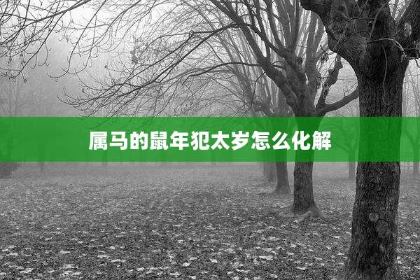 属马的鼠年犯太岁怎么化解