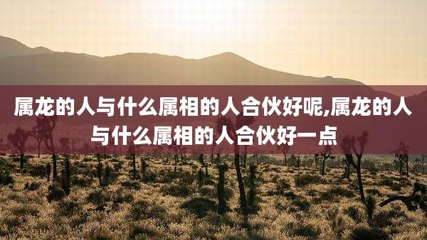 属龙的人与什么属相的人合伙好呢,属龙的人与什么属相的人合伙好一点