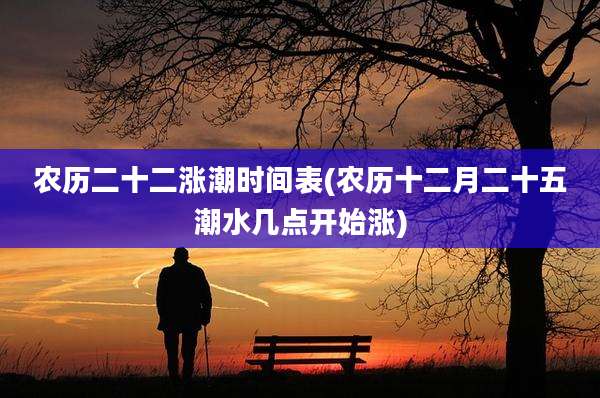 农历二十二涨潮时间表(农历十二月二十五潮水几点开始涨)