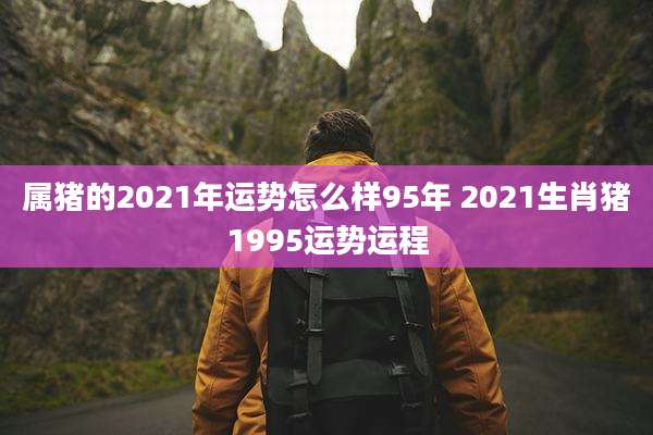 属猪的2021年运势怎么样95年 2021生肖猪1995运势运程
