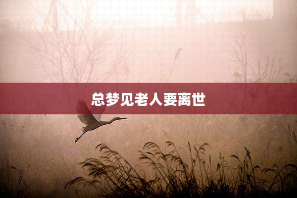 总梦见老人要离世