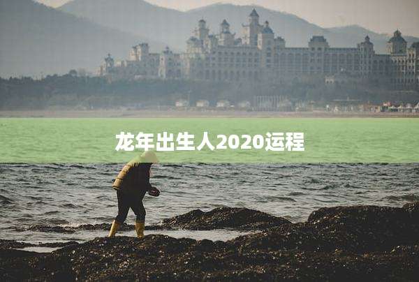 龙年出生人2020运程