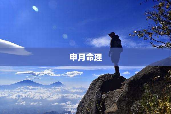 申月命理
