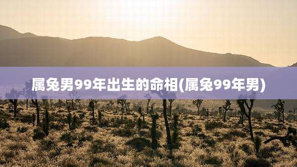 属兔男99年出生的命相(属兔99年男)