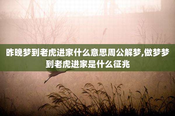 昨晚梦到老虎进家什么意思周公解梦,做梦梦到老虎进家是什么征兆