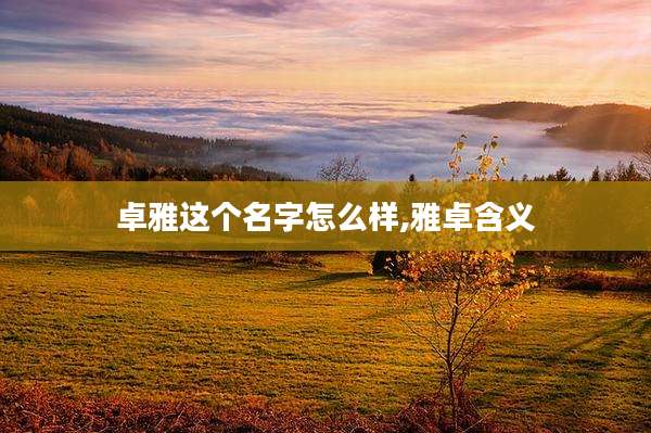 卓雅这个名字怎么样,雅卓含义