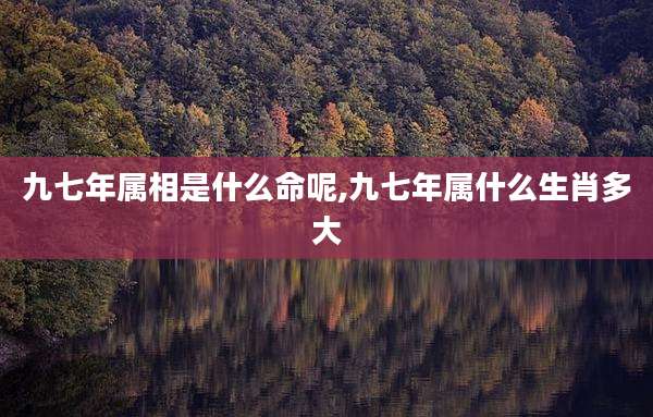 九七年属相是什么命呢,九七年属什么生肖多大