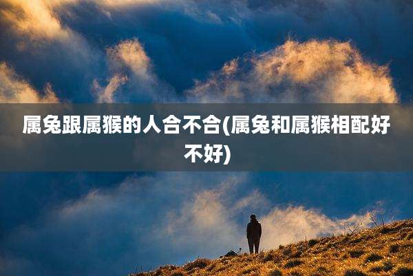 属兔跟属猴的人合不合(属兔和属猴相配好不好)