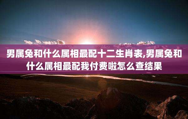 男属兔和什么属相最配十二生肖表,男属兔和什么属相最配我付费啦怎么查结果
