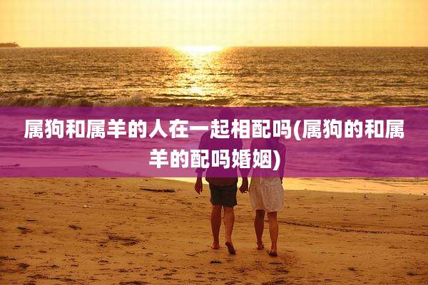 属狗和属羊的人在一起相配吗(属狗的和属羊的配吗婚姻)