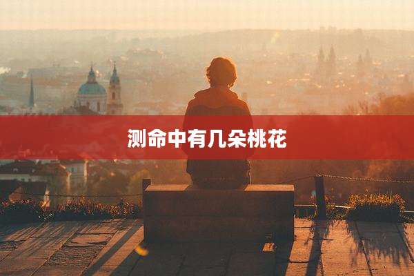 测命中有几朵桃花