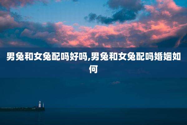 男兔和女兔配吗好吗,男兔和女兔配吗婚姻如何