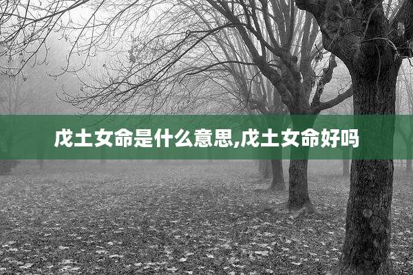 戊土女命是什么意思,戊土女命好吗