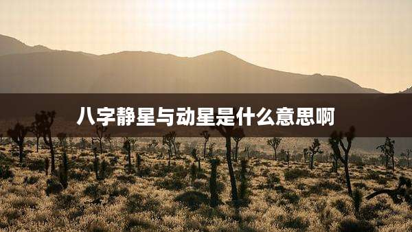八字静星与动星是什么意思啊