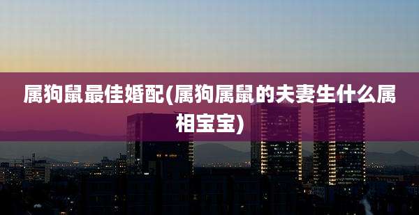 属狗鼠最佳婚配(属狗属鼠的夫妻生什么属相宝宝)