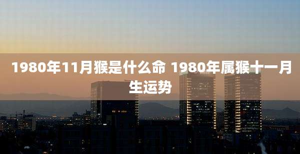 1980年11月猴是什么命 1980年属猴十一月生运势