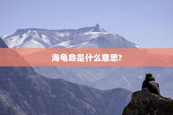 海龟命是什么意思?