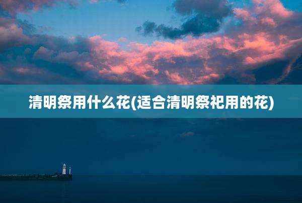 清明祭用什么花(适合清明祭祀用的花)