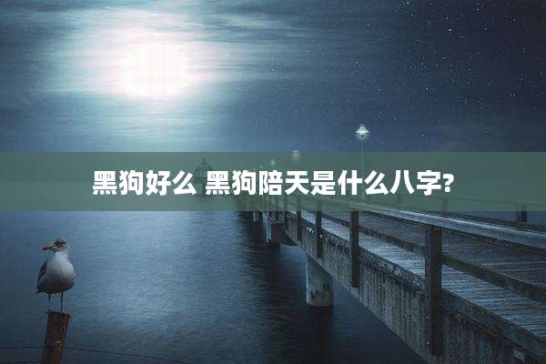 黑狗好么 黑狗陪天是什么八字?